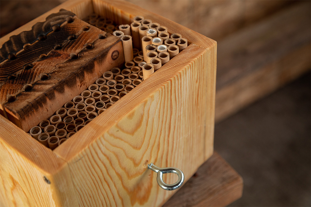 Close up view of mason bee habitat