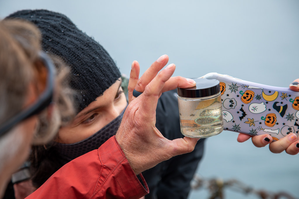 Person holding an iPhone flashlight behind a jar containing a sample of plankton