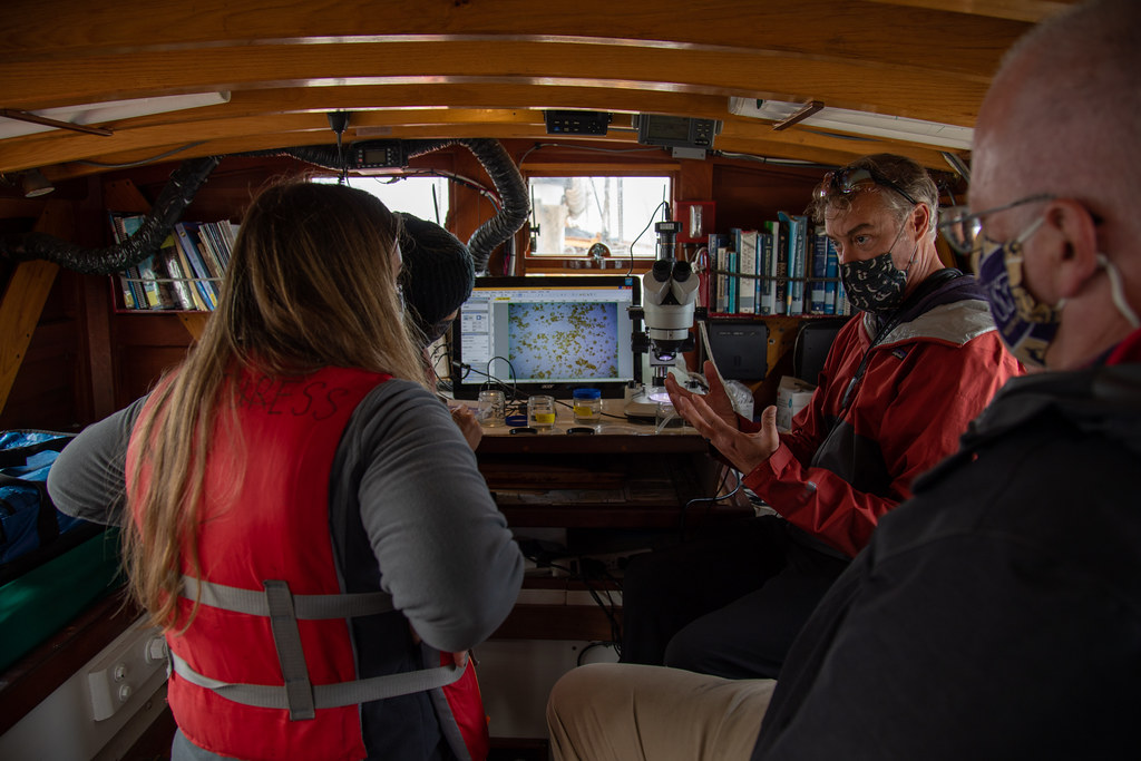 Students listening to Steve Grace lecture about phytoplankton aboard Adventuress