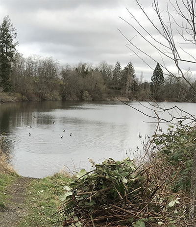 Waughop Lake in Fort Steilacoom Park, Lakewood, Wash.