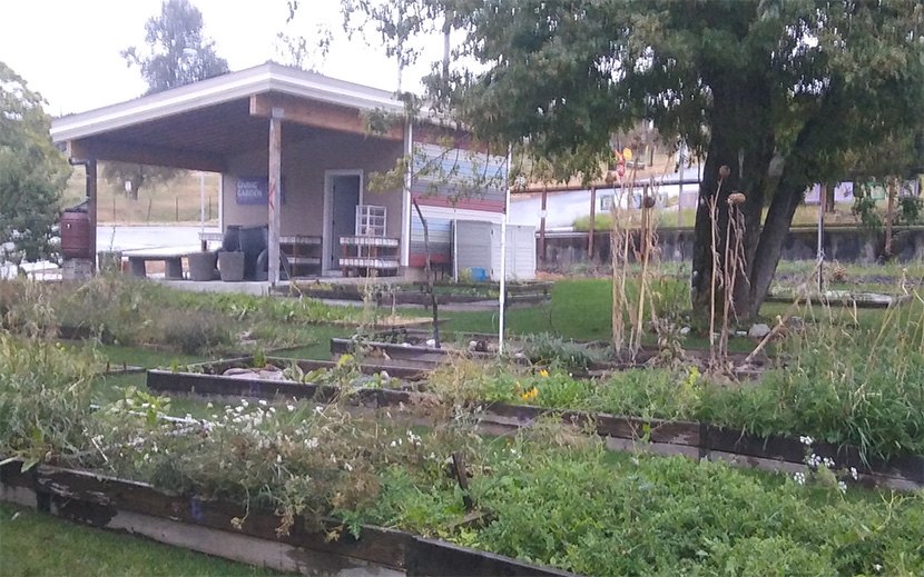 Planting beds in front of completed Giving Garden SHED - Sustainable Hub for Education & Demonstration.