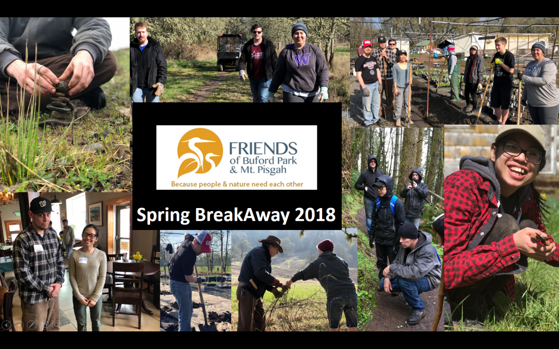 A collage of multiple photos from the 2018 Buford Park trip. It shows volunteers working in various conditions outdoors.