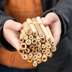 A student holds wooden parts that will go into pollinator habitats for the Bee253 project.