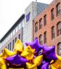 Purple and gold star-shaped balloons in foreground, UW Tacoma Tioga Library Building with W in background