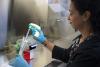 Dr. Anna Groat Carmona, wearing blue latex gloves, preparing a sample for the microscope.