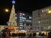 Image of city center at night with large Christmas tree lit in the middle with people gathered around